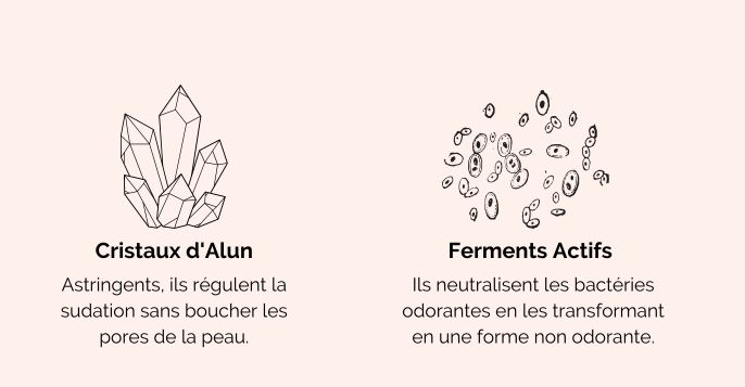 Actifs gages d'efficacité 24h